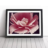 Animated Carnation Flower Framed Wall Art Poster Print Home Decor Picture Large