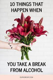 10 Things that Happen When You Take a Break From Alcohol ?? Euphoric Flower Delivery
