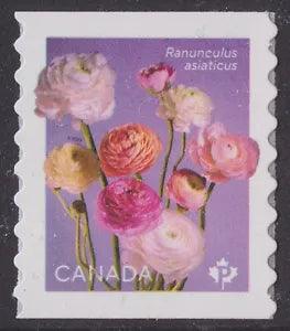 Canada 3373 Ranunculus Multiple 'P' coil single (1 stamp) MNH 2023