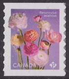 Canada 3373 Ranunculus Multiple 'P' coil single (1 stamp) MNH 2023