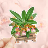Orchids Sticker, Trichocentrum Albo Purpureum Flower, Die Cut Sticker, Water Bottler Sticker, Laptop Decal, Vinyl Sticker, Flower Sticker