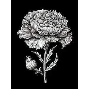 Carnation Flower Black and White Linocut Print Huge Art Print Picture 18X24 In