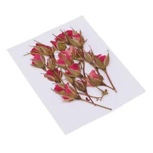 20pcs  Dried Flower  For Jewelry Making  Ornament