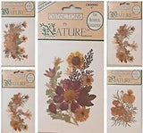 New Lot of 6 Distinction in Nature Real Pressed Botanical Flowers Adhesive Back