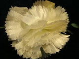 Vintage Millinery Flower 3" Frilly White Carnation KC7