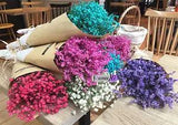 Dried Bouquets Natural Dried Flowers DIY Living Room Decoration Flowers 1 Bunch