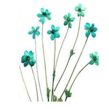 10pcs Small dried flowers Preserved materials for diy