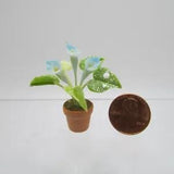 Dollhouse Miniature Blue Calla Lily in Pot G6321