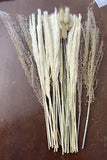 30 Pcs Natural Dried Pampas Grass 17 Inch Stems Reed Flower Wedding Bouquet Hom