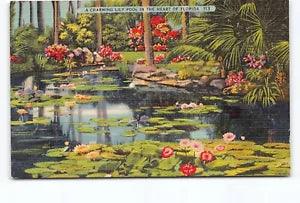 Charming Lily Pool Heart Florida FL Linen Postcard Vtg Posted 1944