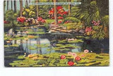 Charming Lily Pool Heart Florida FL Linen Postcard Vtg Posted 1944