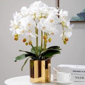 VICKY YAO Faux Floral - Exclusive Design Real Touch Artificial 5Stems Phalaenopsis Orchid Flower Arrangement