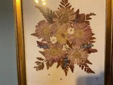 Signed Vintage Dried Pressed Variety ??12.00 each Or 2 For 10