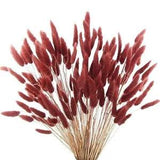 120pcs Dried Bunny Tails Flowers Lagurus Ovatus Tail Dried Flowers Red Brown