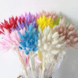 30/50Pcs Natural Dried Flowers Bouquet Rabbit Tail Grass Wedding Home Decoration