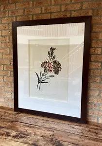Vintage Style Flower Botanical Litho Print Framed Carnations Re Print Of Classic