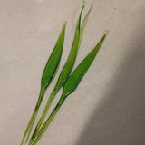 Set of 3 green leaves to stick. Suitable for my snowdrops, snowflakes, daffodils and tulips. Made of green Lauschaer glass 8-9 cm