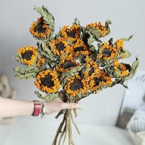 dried sunflower bundle??natural sunflower stems??dried flower arrangement??flower for vase filler??home decoration??wedding flower decor