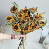 dried sunflower bundle??natural sunflower stems??dried flower arrangement??flower for vase filler??home decoration??wedding flower decor