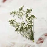5-7cm 12pcs Snow Tiny Flowers with Branch dried Flowers Embossing DIY...