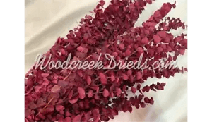 PRESERVED DYED WASHED PINK EUCALYPTUS FLORAL FOLIAGE FILLER FLOWER SCENTED