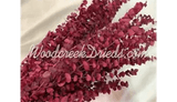 PRESERVED DYED WASHED PINK EUCALYPTUS FLORAL FOLIAGE FILLER FLOWER SCENTED