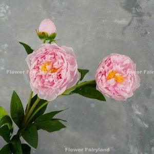 3 Heads Faux Peony Stem | Artificial Flower | Wedding/Home Decoration | Gifts - Pretty Pink