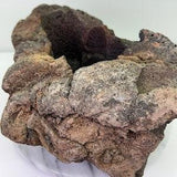 Carved rock planter. Planter pot for Orchids, bonsai, Moss, succulents, exotic plants. Tropical, bohemian, trippy.