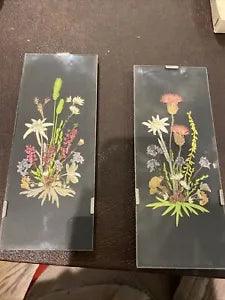 Vintage Pressed Flowers in Rimless Frames Set Of 2 Bouquets Field Like Multiple