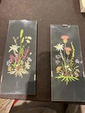 Vintage Pressed Flowers in Rimless Frames Set Of 2 Bouquets Field Like Multiple