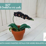 Kit miniature plants black Moth Orchid dollhouse miniatures in 12th scale DIY Phalaenopsis