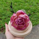 Bell of a freeze-dried eternal peony natural flowers original decoration - Size S