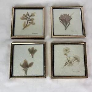 Framed Handmade Dried Pressed Colorado Flowers Wall Hangings Vintage