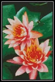 Water Lilies 2 - Cross Stitch Chart/Pattern/Design/XStitch