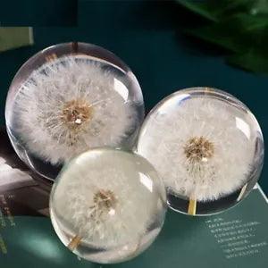 Crystal Glass Ball Resin Lens Natural Plants Specimen Christmas Home Decor Ball