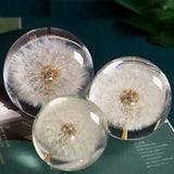Crystal Glass Ball Resin Lens Natural Plants Specimen Christmas Home Decor Ball