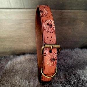 Leather Dog Collar - Large Size - Western Sunflower Tooled Design