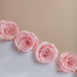 Wholesale Preserved Pink Roses - 8 Head Box Stabilised Roses