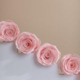 Wholesale Preserved Pink Roses - 8 Head Box Stabilised Roses