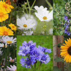 Flower Garden Seed Kit #2 - Flower Seeds Gift for Her - Flowers for Bees - Poppy Seeds - Daisy Seeds - Easy Garden Kit - 12 Seed Packets