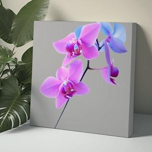 Pink Orchid Canvas Wall Art Orchid Wall Art Flower Wall Art Floral Wall Art Orchid Wall Decor Orchid Art Print Painting Grey