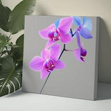 Pink Orchid Canvas Wall Art Orchid Wall Art Flower Wall Art Floral Wall Art Orchid Wall Decor Orchid Art Print Painting Grey