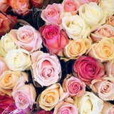 Rose photograph flower photos flora Bouquet blossom romance love bloom pastel coral pink white wall decor Valentines day gift for her