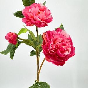3-Head Hot Pink Peony Silk Stem Realistic Luxury Quality Artificial Kitchen/Wedding/Home Decoration | Gifts French Floral Flowers Cozy Decor
