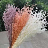 Natural Preserved Love Grass Eternal Real Bleach Bouquet Wedding Home Decoration