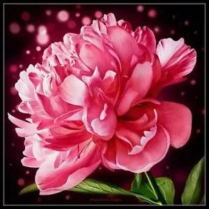 Blooming Peony - Counted Cross Stitch Patterns - Color & BW Symbols