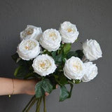 24" White Austin Cabbage Real Touch Artificial Roses, DIY Florals Supply | Wedding/Home/Kitchen Decoration | Gifts, DIY Bouquets/Centerpiece