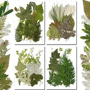84 Pieces Dried Pressed Leaves Dried Flowers Resin Dried Leaves Resin Mini Dried