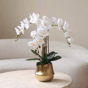 Vicky Yao Faux Floral -Exclusive Design Real Touch Exclusive Design 3-Stem Orchids Arrangement in Golden Pot
