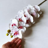 Real touch white phanelopsis, 9-11 cm heads, Artificial flowers in vase, Orchid stem, Orchid Flowers, Artificial orchid, Fall decor, 90 cm